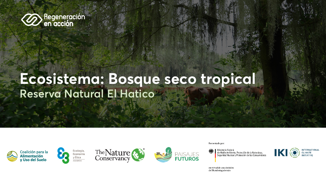 Ecosistema: Bosque seco tropical – Reserva Natural El Hatico